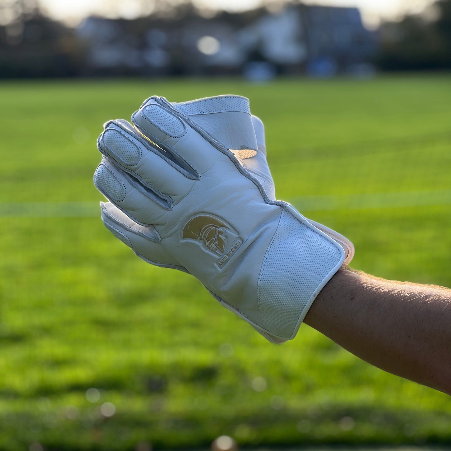 Ares Sports Wicket Keeping Gloves