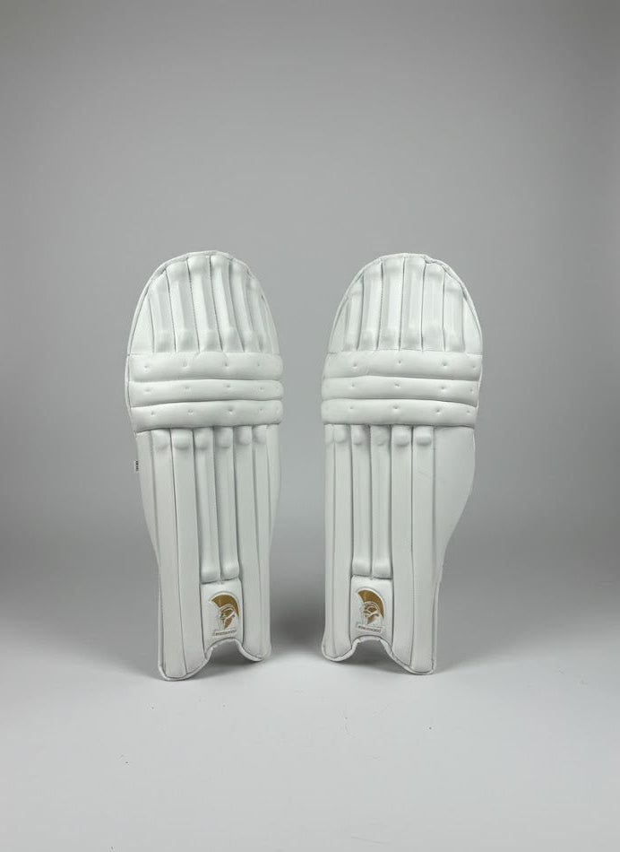 Ares Sports Batting Pads Y/J