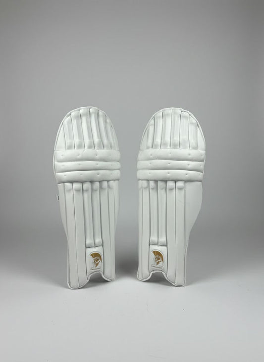 Ares Sports Batting Pads Y/J